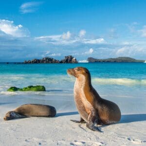Galapagos 2026: Yoga Adventure with Matthew Shaw