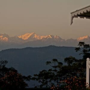 A Himalayan Tea Estate Retreat