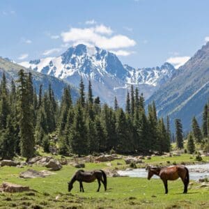High Mountain Lakes and Nomad Trails