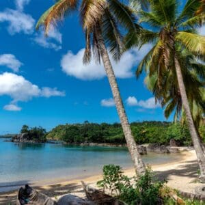 Wonder on a Wild Island